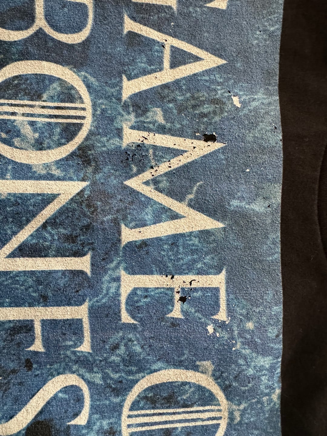 Customer photo review of Custom Pet Art Women's Crew