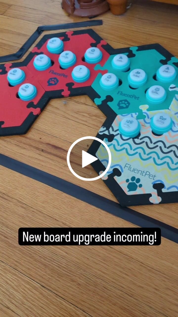 Customer video review of Bold Compact HexTile