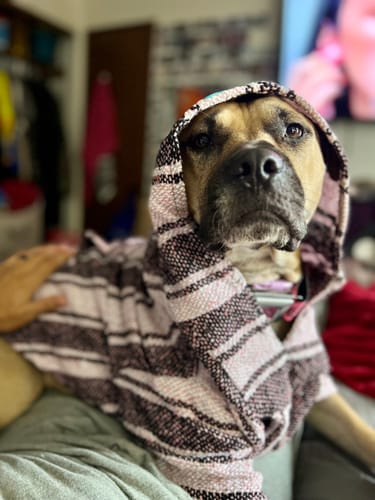 Customer photo review of Playa Poncho - Surprise Color