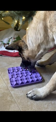 Customer photo review of Slow Feeder - Lick Pad Combo