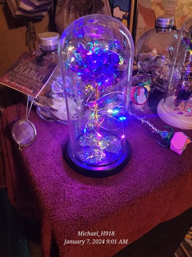 Customer photo review of Enchanted Galaxy Forever Rose™