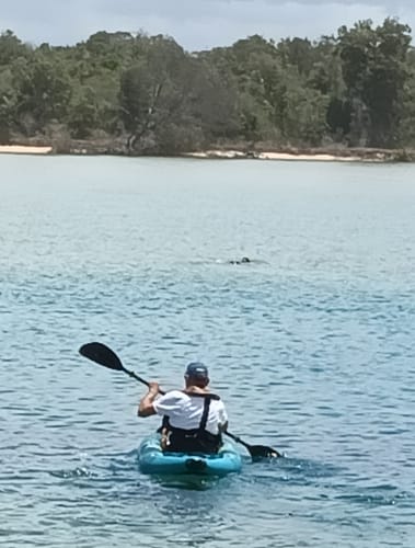 Cheryl R. review of Aqua Marina Steam 312 1 Person Inflatable Drop-Stitch Kayak image 1 out of 3