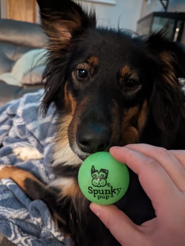 Customer photo review of Fetch & Glow Balls