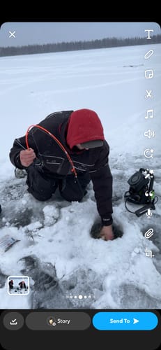 Customer photo review of Custom Power Noodle