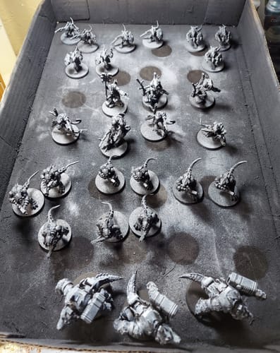 Customer photo review of Saurian Starhost Army Starter (29 Models)