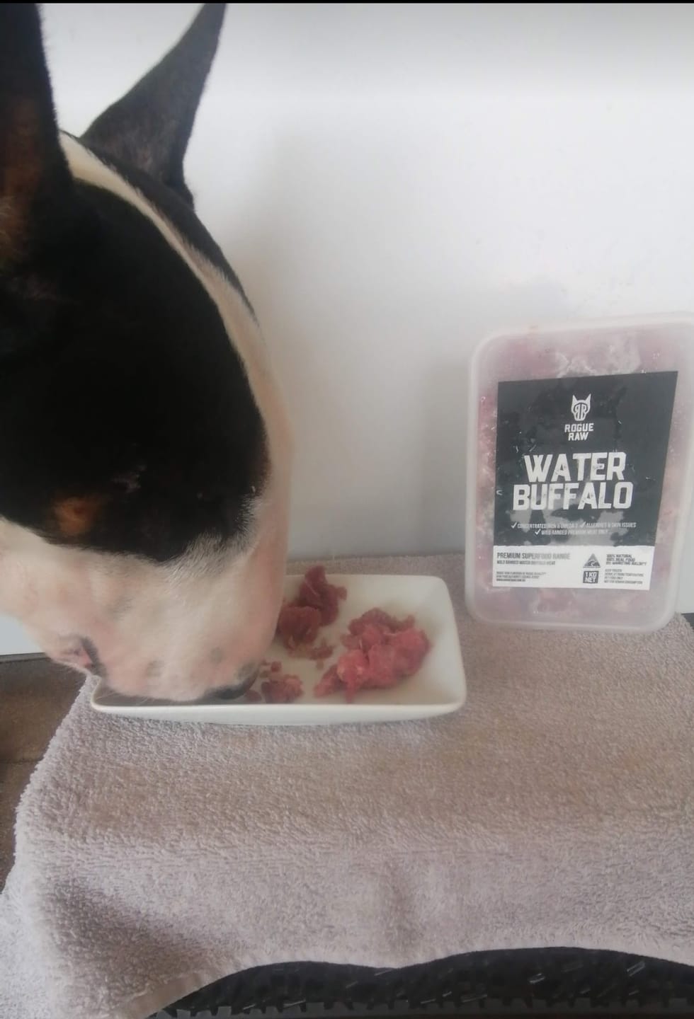 Customer photo review of Primal Venison - Raw Free ranged for dogs and cats