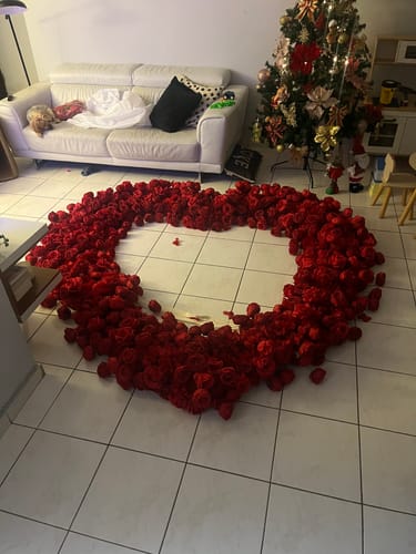 Customer photo review of 8ft Romantic Atmosphere Heart Shaped Red Rose Flower Wall Wedding Decoration Indoor