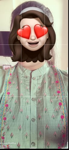 Customer photo review of Pista Green Embroidered Festive Maxi