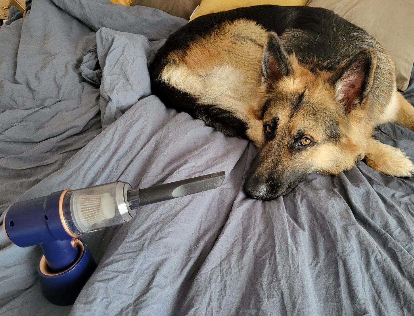 Customer photo review of TurboCleaner - 2in1 Staubsauger und Druckluftpistole