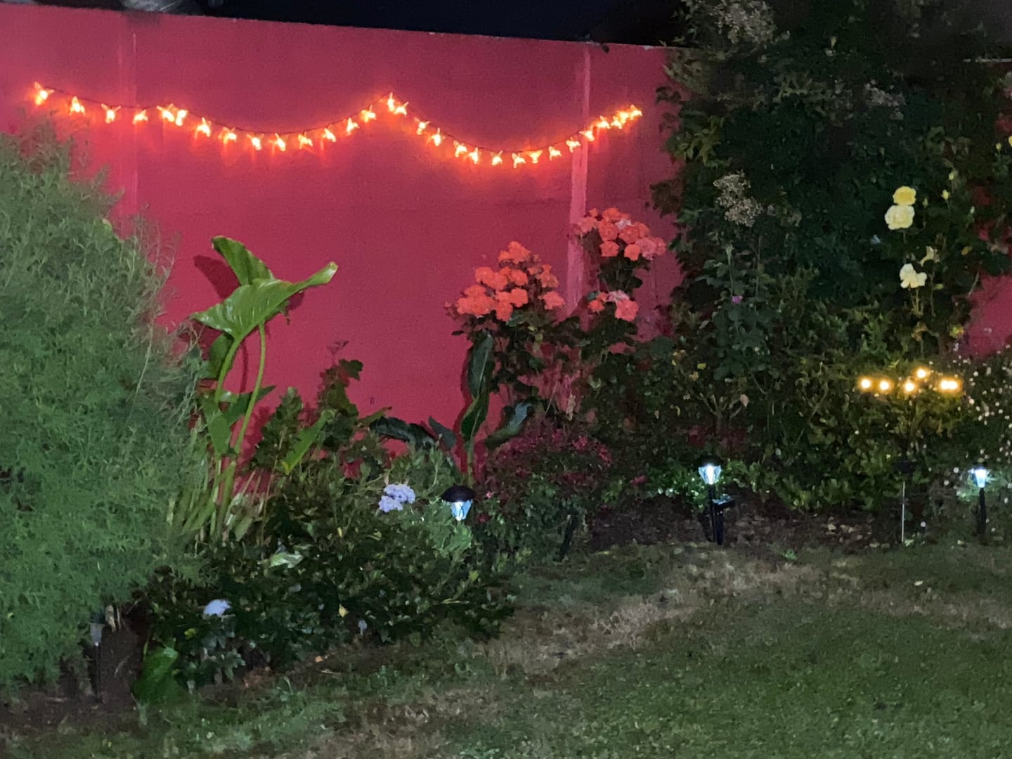 Customer photo review of Colibrís Solares - IP65 Luz Cálida/Colores Largo 5 m