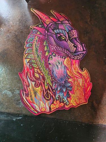 Customer photo review of Wizard Dragon