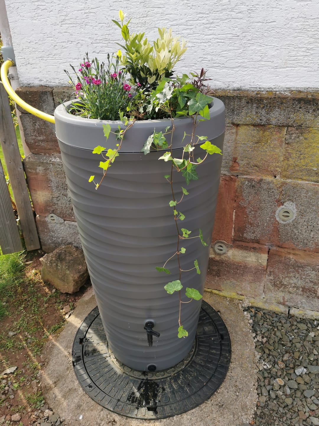 Customer photo review of YourCasa Regentonne 240 Liter [Wave Design] Regenfass Frostsicher aus Kunststoff - Regenwassertonne mit Wasserhahn
