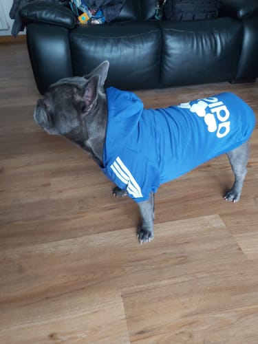 Customer photo review of Felpa "Adidog" Blu Personalizzabile con nome