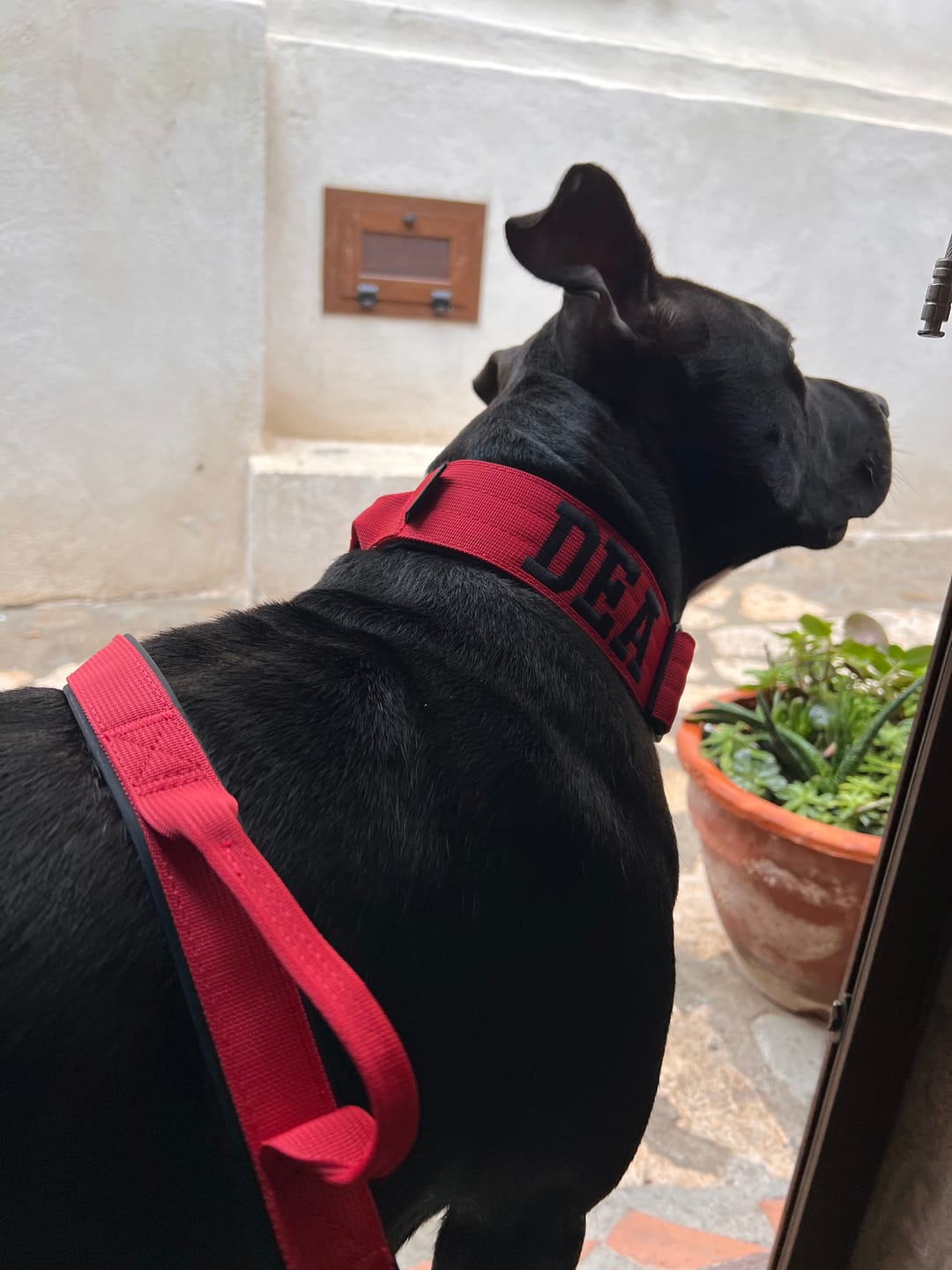 Customer photo review of Poop Bag Holder