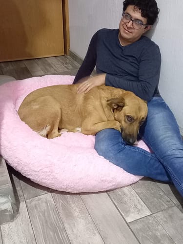 Customer photo review of Cama Antiestrés Para Perros
