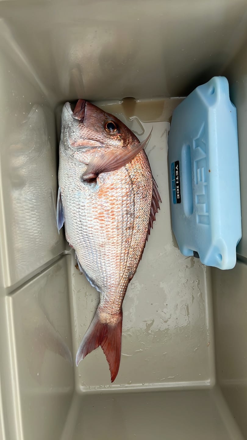 Customer photo review of Jet Tech Adventure Fish Box