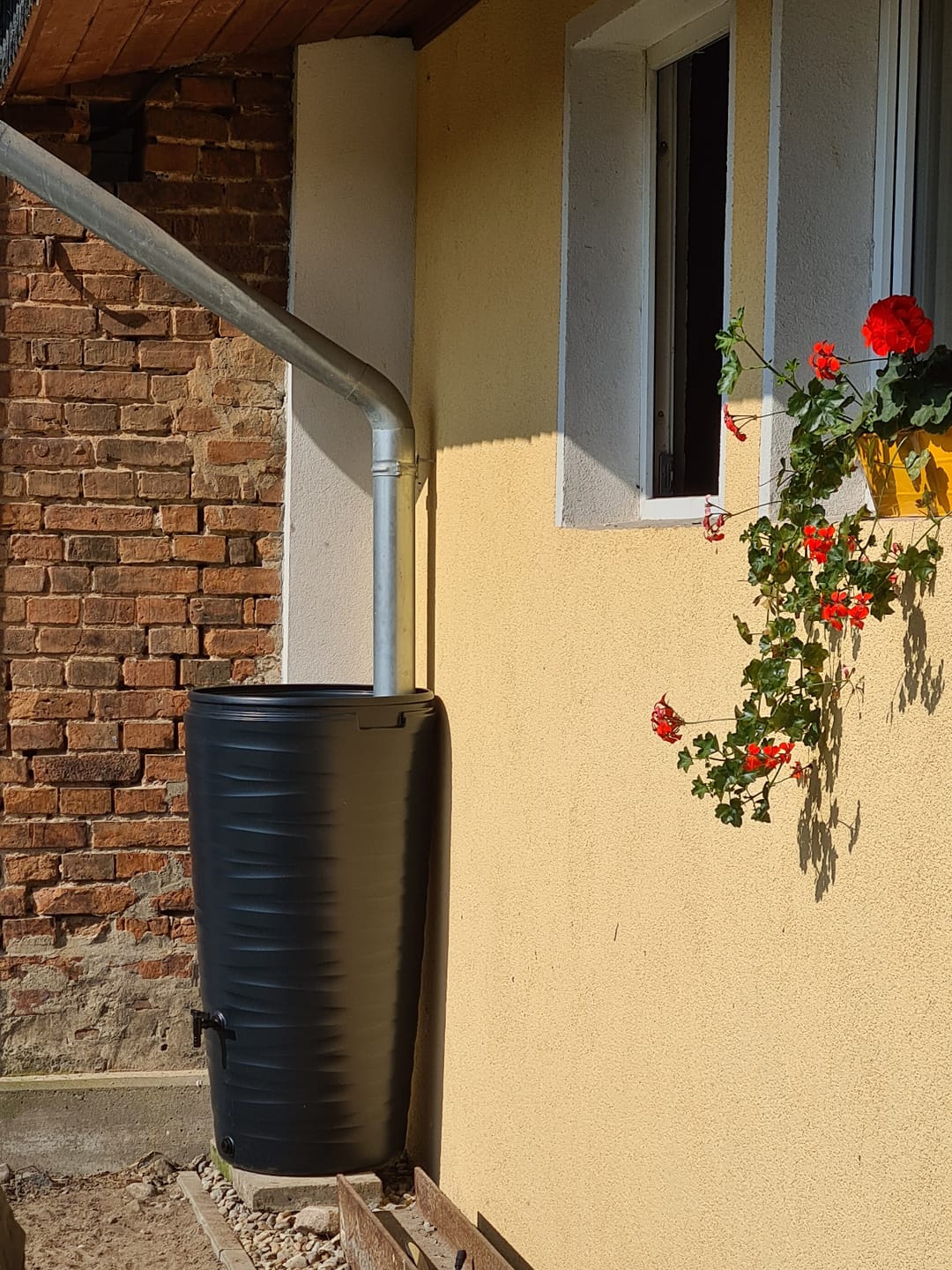Customer photo review of YourCasa Regentonne 240 Liter [Wave Design] Regenfass Frostsicher aus Kunststoff - Regenwassertonne mit Wasserhahn