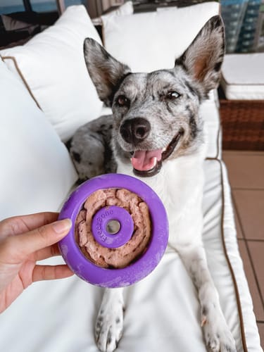 Customer photo review of Freez Doughnut - Super Durable Treat Toy