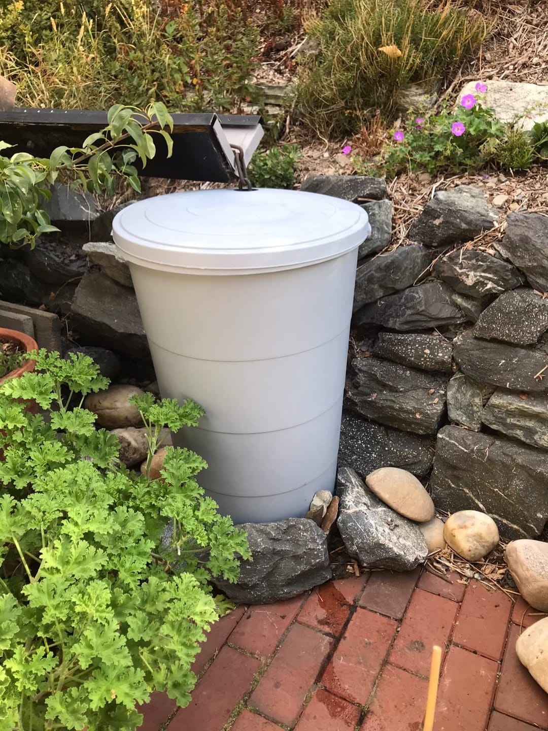 Customer photo review of YourCasa Regentonne 160/200 [inklusive Regensammler] Regenfass mit Fallrohr Anschluss Set - Regenwassertonne mit Wasserhahn
