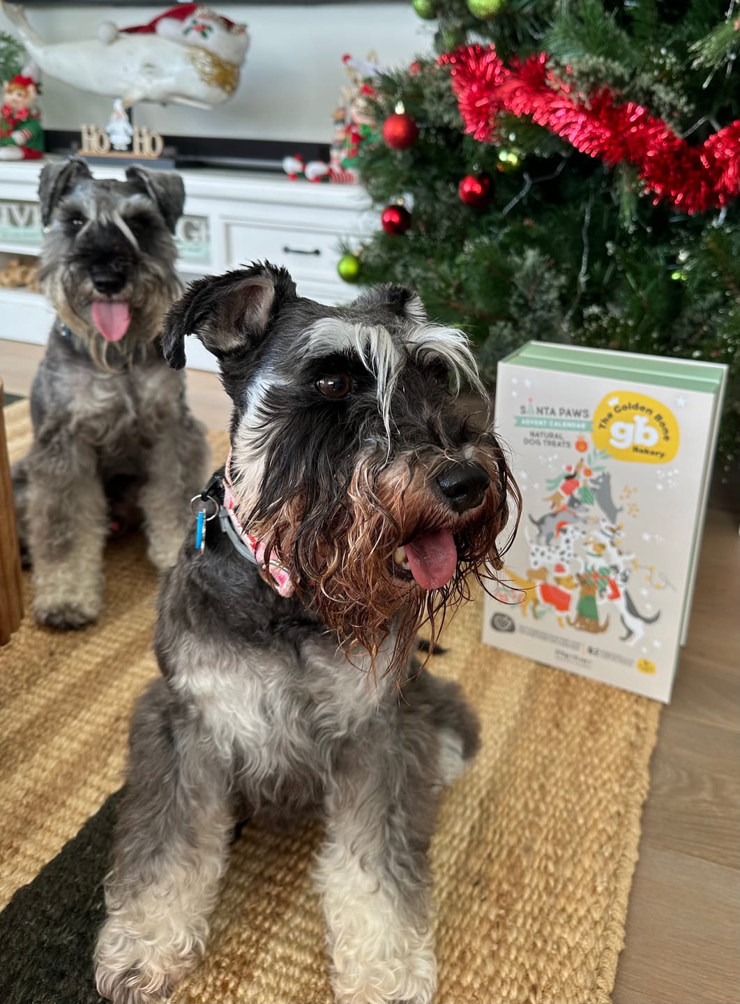 Customer photo review of Advent Calendar