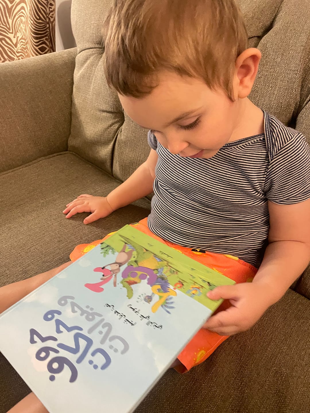 Customer photo review of Letters and Animals/ حروف و حركات و حيوانات