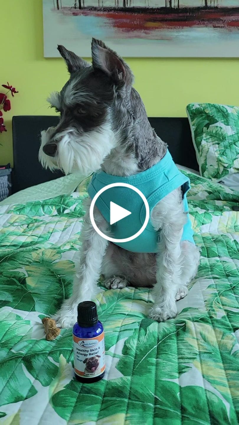 Customer video review of Healthy Skin for Dogs - Dog Dermatitis, Skin Allergy & Dog Scabs Remedy