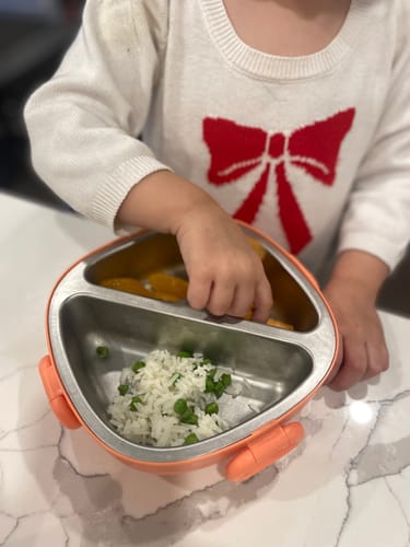 Customer photo review of Bento Box | Peach