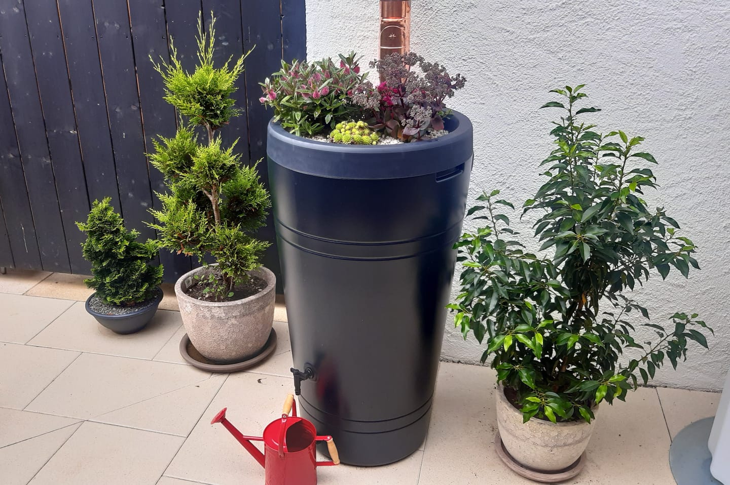 Customer photo review of YourCasa Regentonne 230 Liter [Decore Design] Regenfass Frostsicher aus Kunststoff - Regenwassertonne mit Wasserhahn