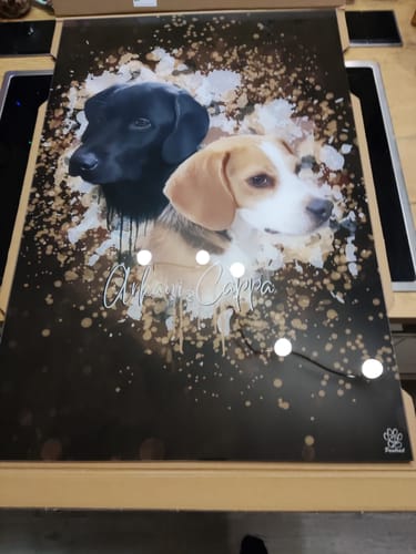 Customer photo review of Aquarell Pawtrait