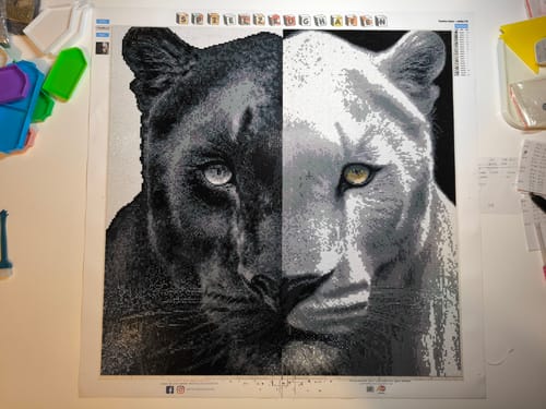 Customer photo review of Panther 'Black & White' - Quadratisch