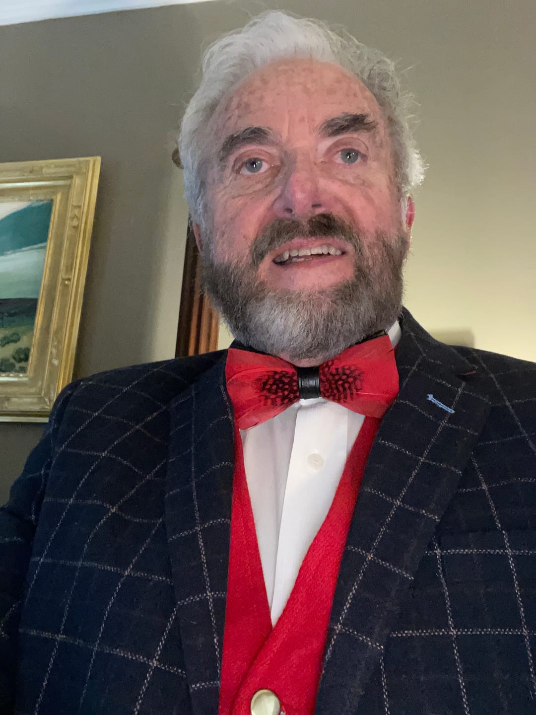 Customer photo review of The Jaxon- Feather Bow Tie