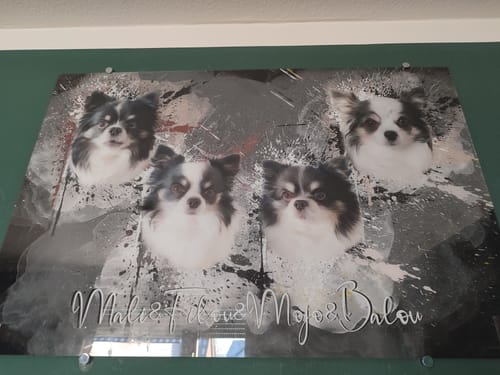 Customer photo review of Graffiti Pawtrait