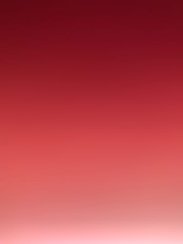 Customer photo review of Peach Scented Unflavored Daily Wipes