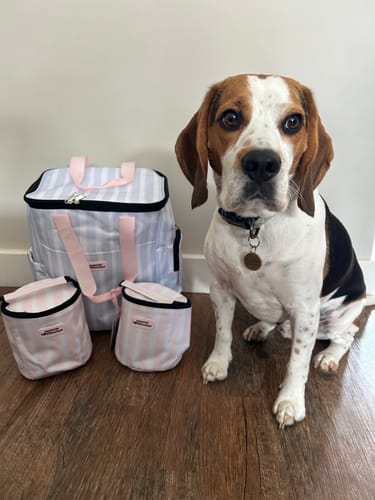 Customer photo review of Travel Backpack with 2 Storage Bags - Stripe