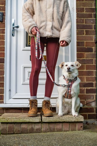 Customer photo review of Walkies Ready Leggings - Mulberry