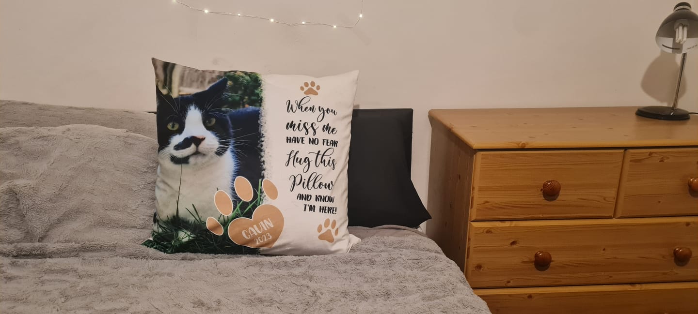 Customer photo review of When you miss me - Personalised pillow
