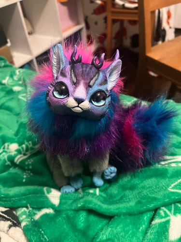 Customer photo review of Astrocat