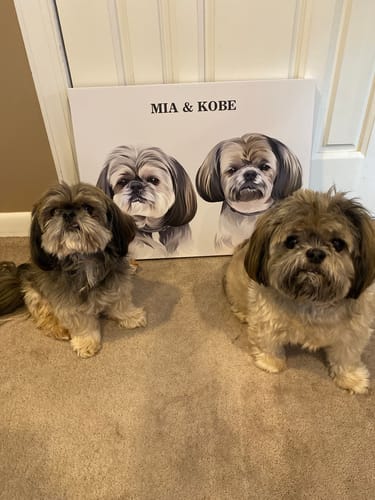 Customer photo review of Dual Passport - Custom Pet Canvas