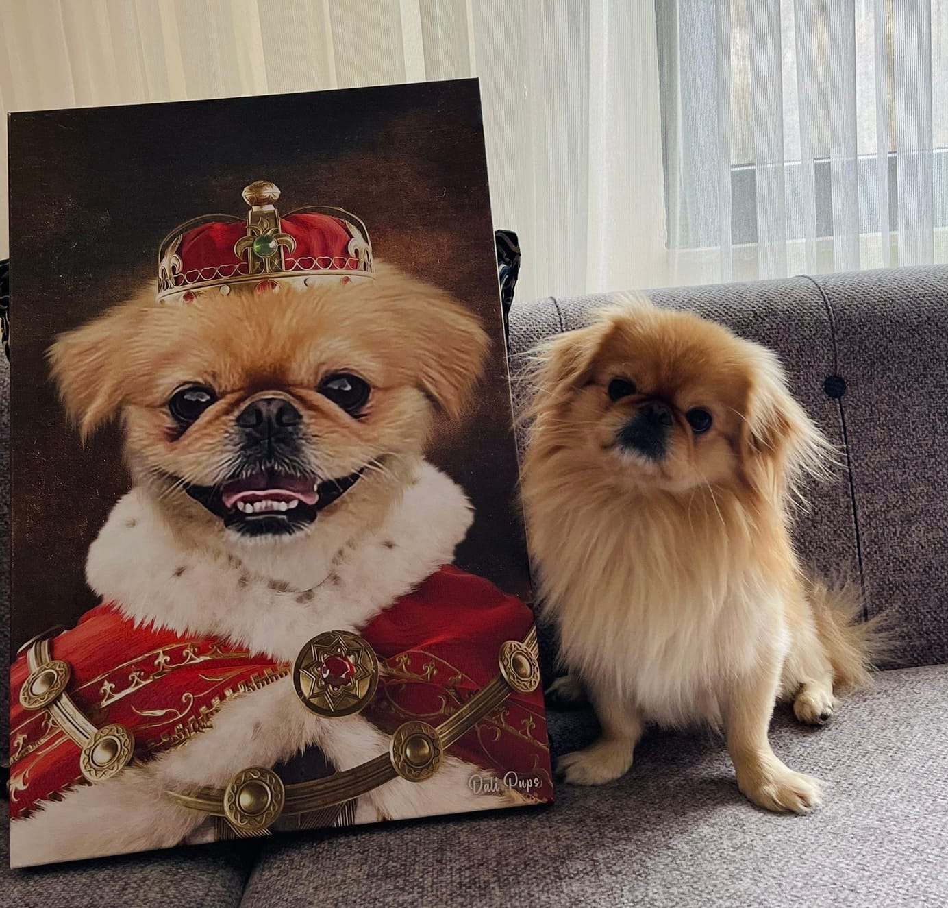 Customer photo review of The King of the Seven Kingdoms
