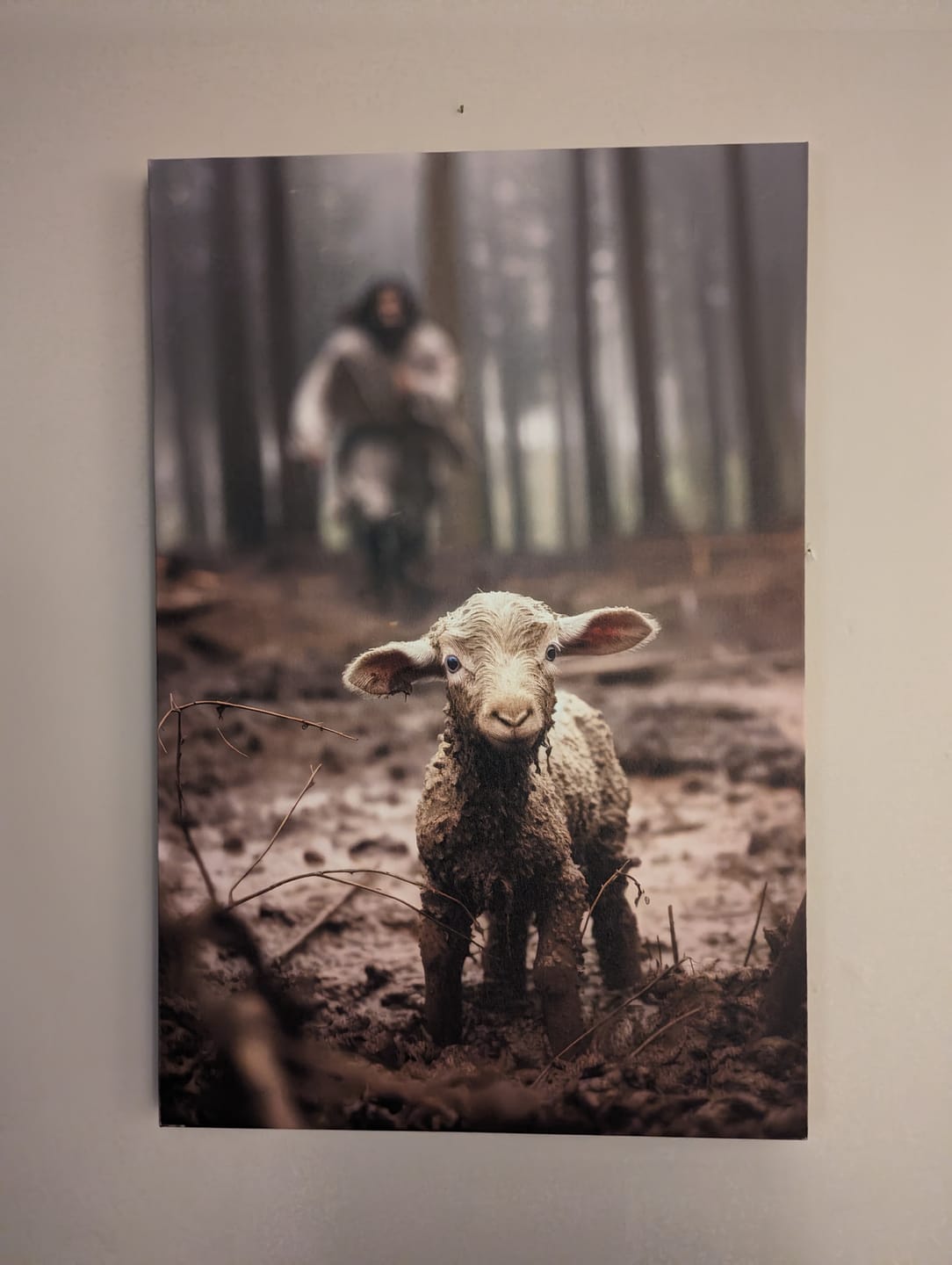 Customer photo review of Jesus Lamb of God, Jesus Running After Lamb, Wall Art Canvas
