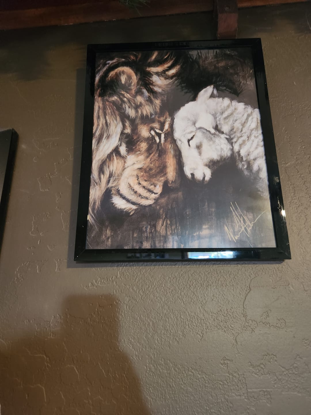 Customer photo review of Compassion of a King