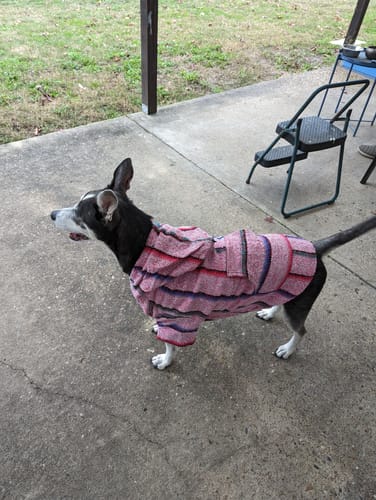 Customer photo review of Playa Poncho - Surprise Color