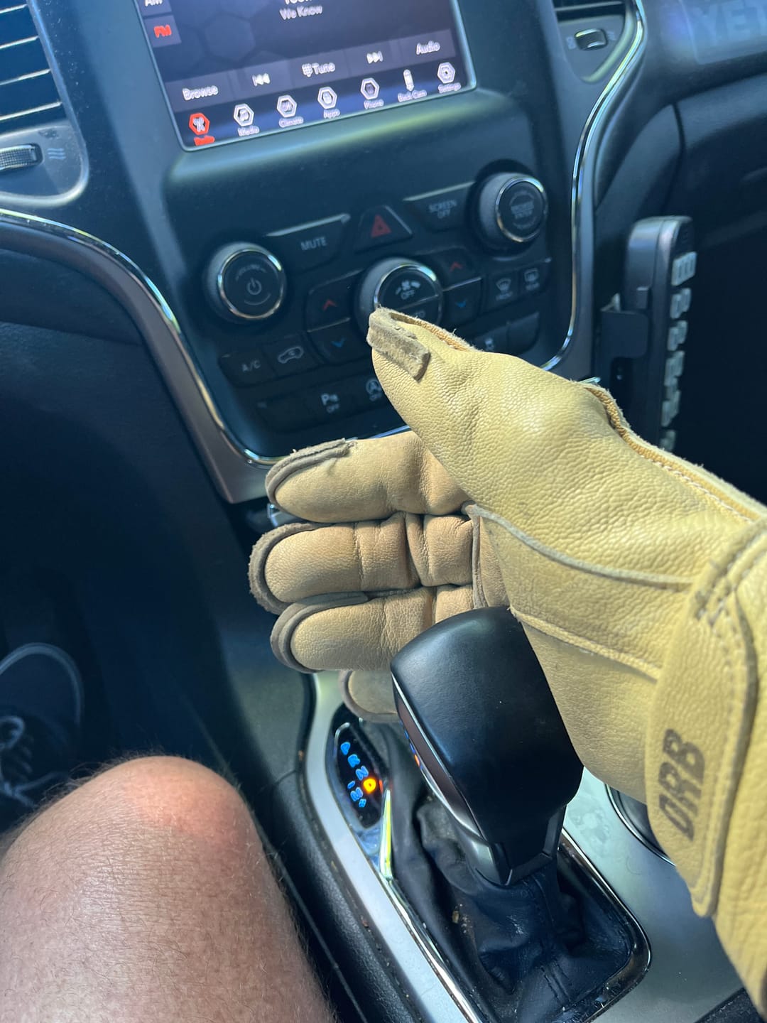 Customer photo review of Leather Conditioner