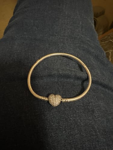 Customer photo review of Pandora Moments Bracelets