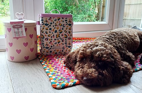 Customer photo review of Storage Tin with Scoop - Pink Leopard