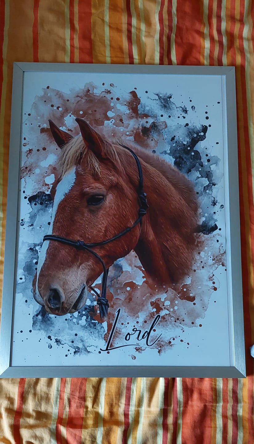 Customer photo review of Dein Pferd als Wasserfarben Portrait