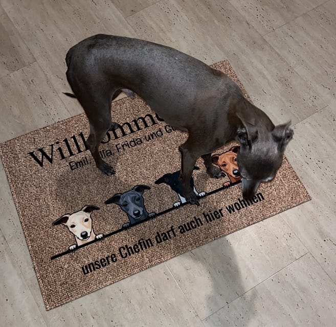 Customer photo review of Alle meine Fellnasen - Individuelle Fußmatte