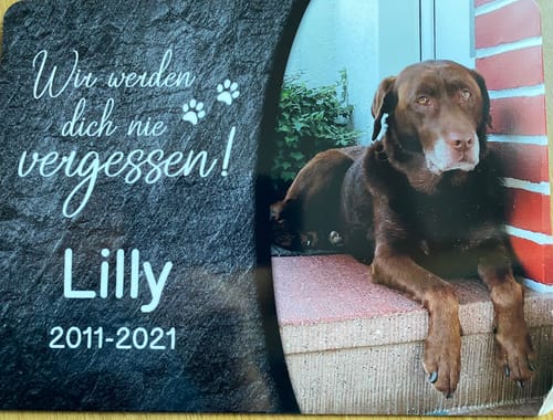 Customer photo review of Hunde Gedenktafel mit Foto & Spruch (UV- &  Wetterfest)
