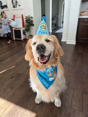 Customer photo review of Personalized Dog Party Pack