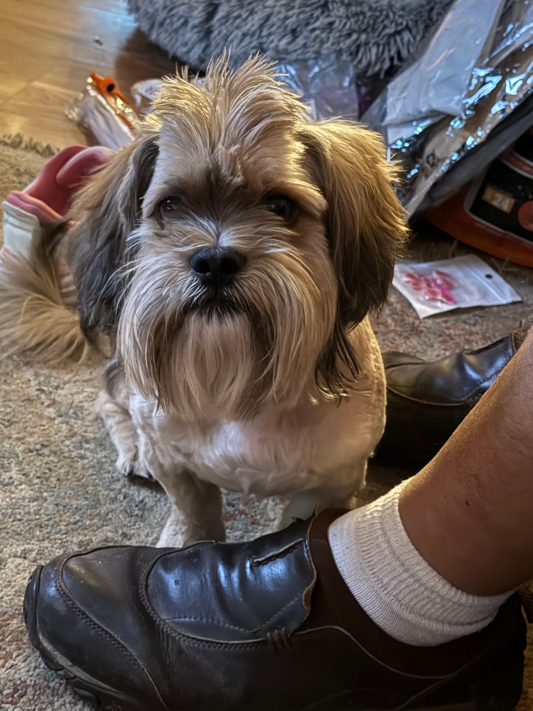 Customer photo review of Carrying Case for furMe Grooming Vacuum